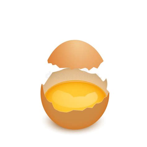 Broken Egg Shell With Yolk Realistic Vector Illustration Stock Vector