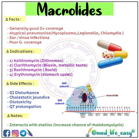 Macrolides Flash Card Medical Knowledge Medical School Essentials