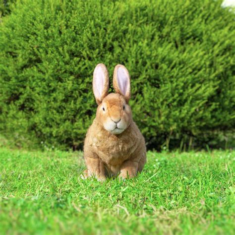 Custom Flemish Giant Rabbit Plush Animal Clone