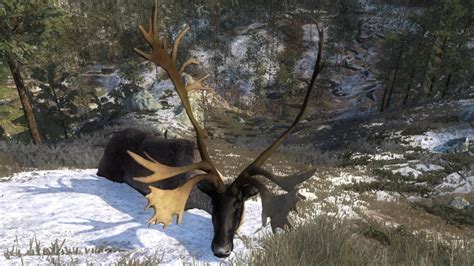Reindeer The Hunter Wikia Fandom Powered By Wikia