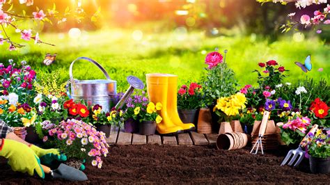 5 Must Have Gardening Tools For Beginners