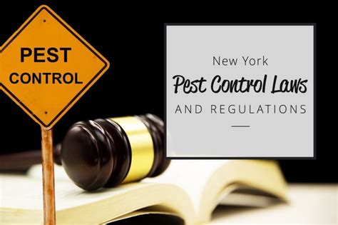 New York Pest Control Laws And Regulations 2025 Update