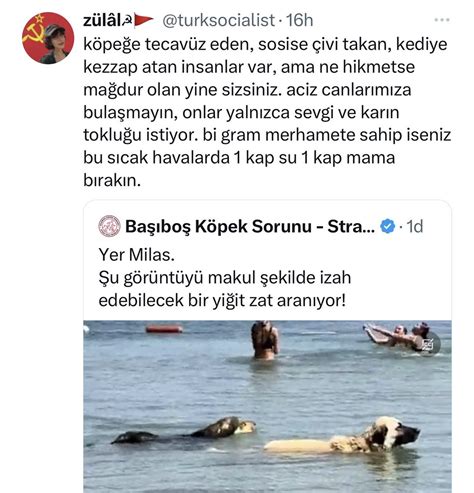 Oğuzhan on Twitter profil fotosuna orak çekiç koyan birinde akıl