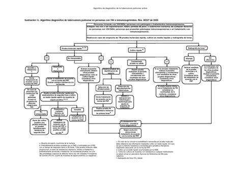 Algoritmo Diagnóstico De Tuberculosis Pulmonar En Personas Con Vih O