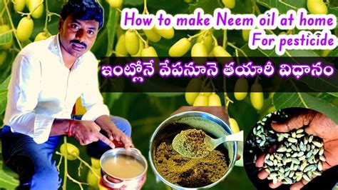 ఇంట్లోనే వేపనూనే తయారీవిధానం How To Make Neem Oil At Home Neem Oil For Crops And Gardens