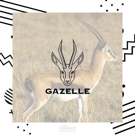 Minimal gazelle logo design مستقل