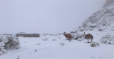 Neve Imbianca Il Deserto In Arabia Saudita Foto Icona Clima