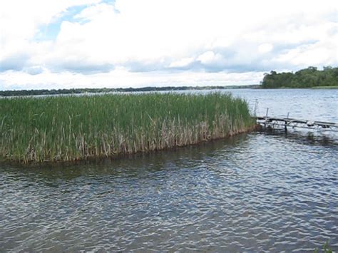 407 Floating Bog Floating Bog In South Turtle Lake Minnes Flickr