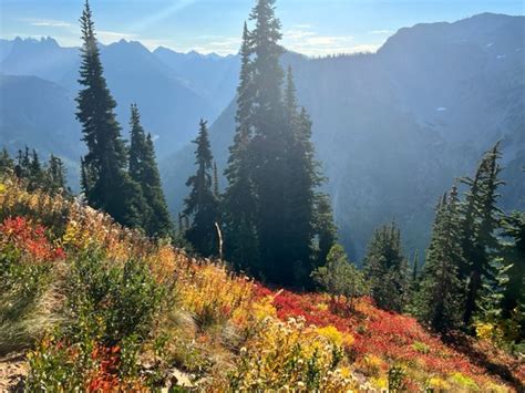 Heather Maple Pass Loop Washington Trails Association