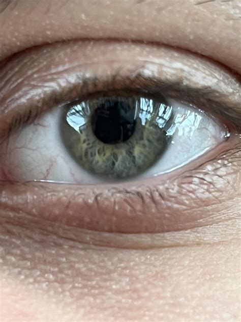Some People Say Blue Some Say Green I Say Hazel Which Is On My