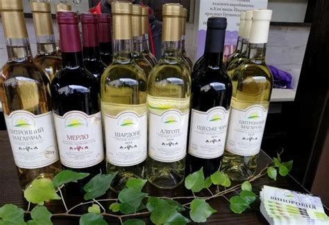 Родинна виноробня Зелениці - Drinks.ua