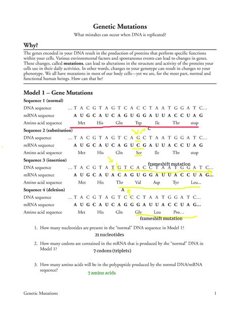 Mutationspglguigiugu Genetic Mutations Genetic Mutations What