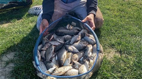 Pecanje Babu Ke Na Tek Na Kanalu Dtd U Ba U Carrassio Fishing On The