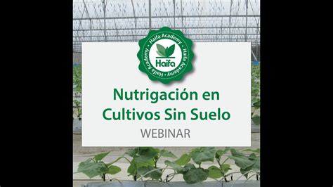 Nutrigaci N En Cultivos Sin Suelo Webinar Youtube