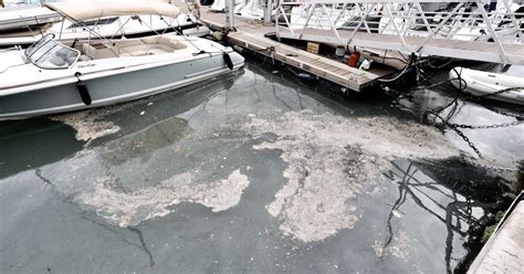 Los Vertidos En El Puerto De Ibiza Seguir N Hasta Que No Se Separen