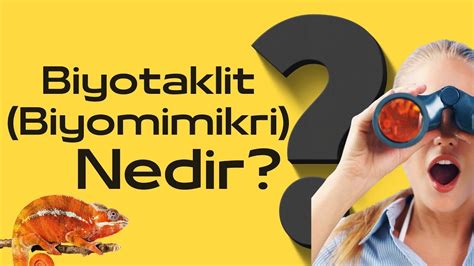 Biyotaklit Biyomimikri nedir Farklı Biyomimikri Örnekleri YouTube