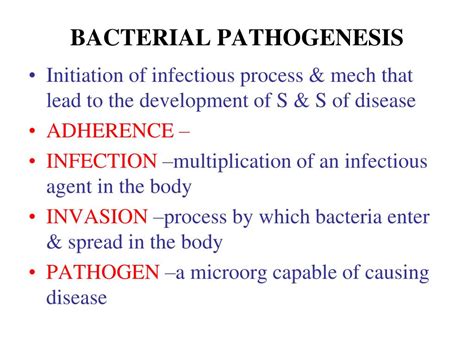 Ppt Bacterial Pathogenesis Powerpoint Presentation Free Download Id3818752