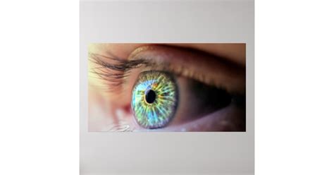 Eye Color Poster Zazzle