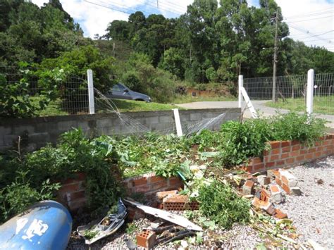 Moradora Que Teve Propriedade Invadida Por Carro Pede Provid Ncias Para