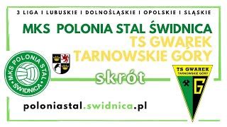 MKS Polonia Stal Świdnica TS Gwarek Tarnowskie Góry 0 0 skrót by