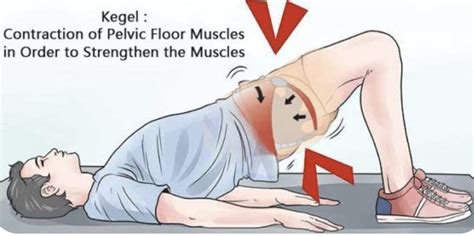 Pelvic Floor Exercises For Men | Review Home Co