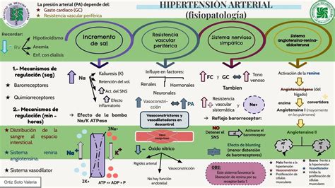 Hipertensi N Arterial Valeria Soto Udocz