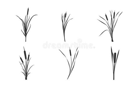 Cattail Silhouette Cattail Plant Silhouette Reeds And Cattail Silhouette Cattail Vector Set