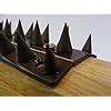 The Cactus Fence Wall Spikes Pack Of M To M Black