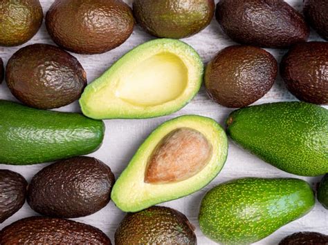 Descubre Los Secretos Del Cultivo De Aguacate Mejora El Rendimiento Y