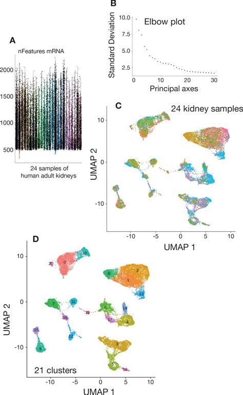 Figure 3 Single Cell Transcriptome Analysis Of Bioinformatics