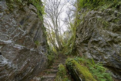 Découvrez Ces 8 Régions En Ardenne” Ardennes étape