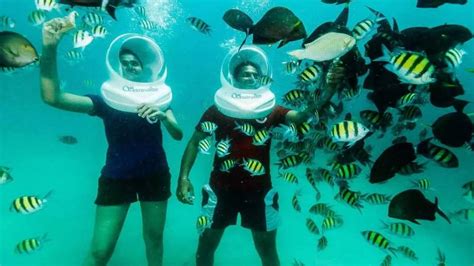 Sea Walk In Andaman Islands Book Sea Walking Tour Package In Andaman