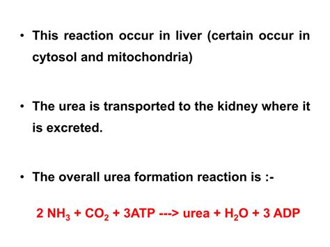 Urea Cycle Formation And Its Significance Ppt