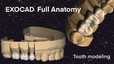 Exocad Full Anatomy I Tooth Modeling Youtube