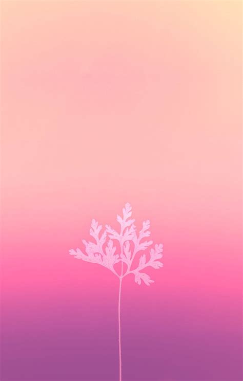 100 Baby Pink Wallpapers