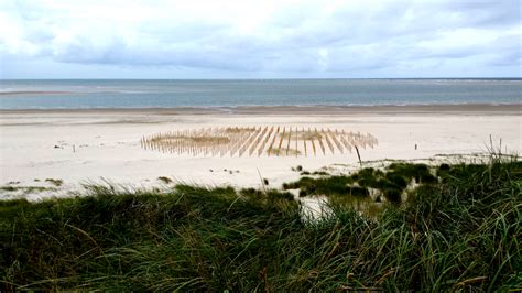 Wadden Tide installation: architecture spaces on the Wadden Sea ...