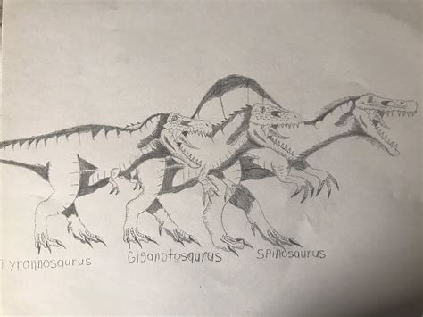 Giganotosaurus Vs T Rex Vs Spinosaurus