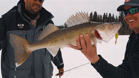 Ice Fishing For Shallow Water Walleye The Canadian Angle Season 4