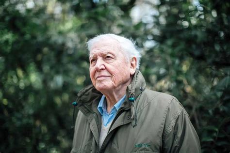 David Attenborough Npg X163780 Sir David Attenborough Portrait