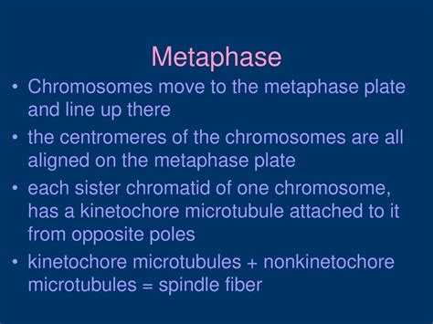 Cell Division And The Cell Cycle Ppt Download