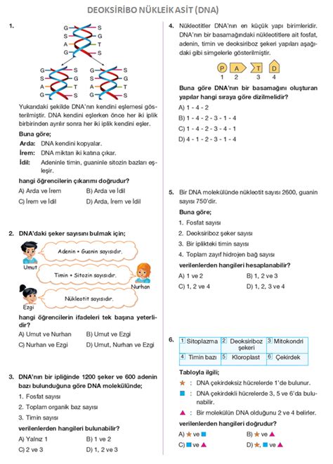 8 Sınıf Dna Ve Genetik Kod Test Pdf