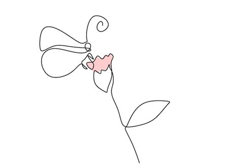 Une Seule Ligne Continue De Papillon Perche Sur Fleur Rose Isol Sur