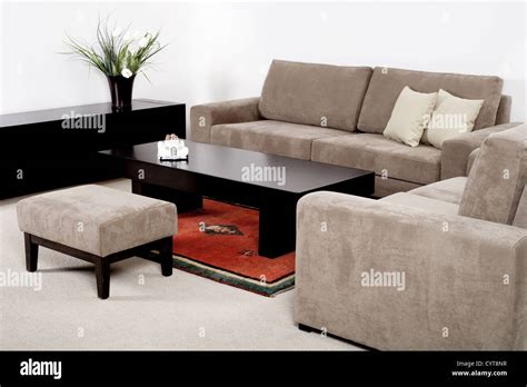 Modern house, living-room with the modern furniture Stock Photo - Alamy