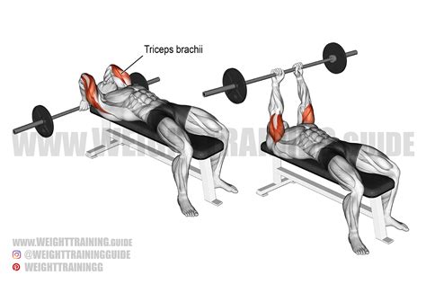 Lying barbell triceps extension exercise instructions and video