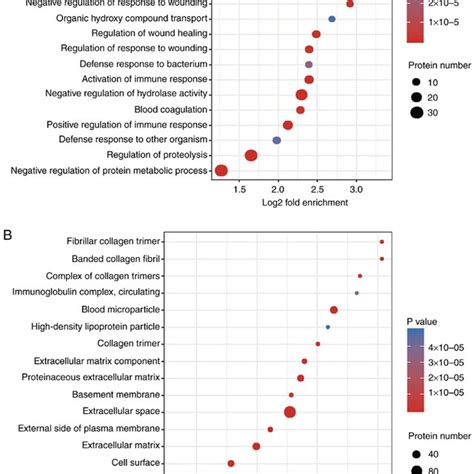 Functional Enrichment Analysis A Go Enrichment Bubble Plot Of The