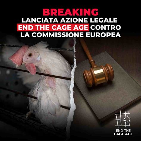 End The Cage Age Presentato Ricorso Contro Commissione UE Per Mancata