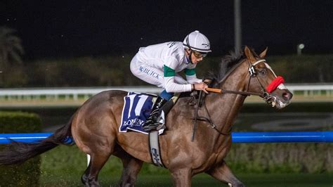 Dubai World Cup Next Stop For Hot Rod Charlie After Al Maktoum Challenge Triumph