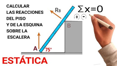 FISICA ESTATICA Y APLICACION DE LA TERCERA LEY DE NEWTON Las Fuerzas