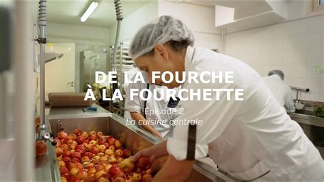 De La Fourche À La Fourchette La Cuisine Centrale 👨‍🍳 Youtube