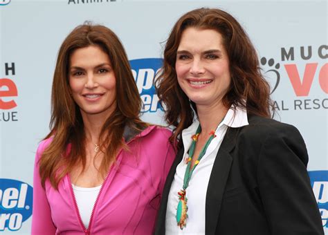 Cindy Crawford, Brooke Shields and Veronica Webb on their...